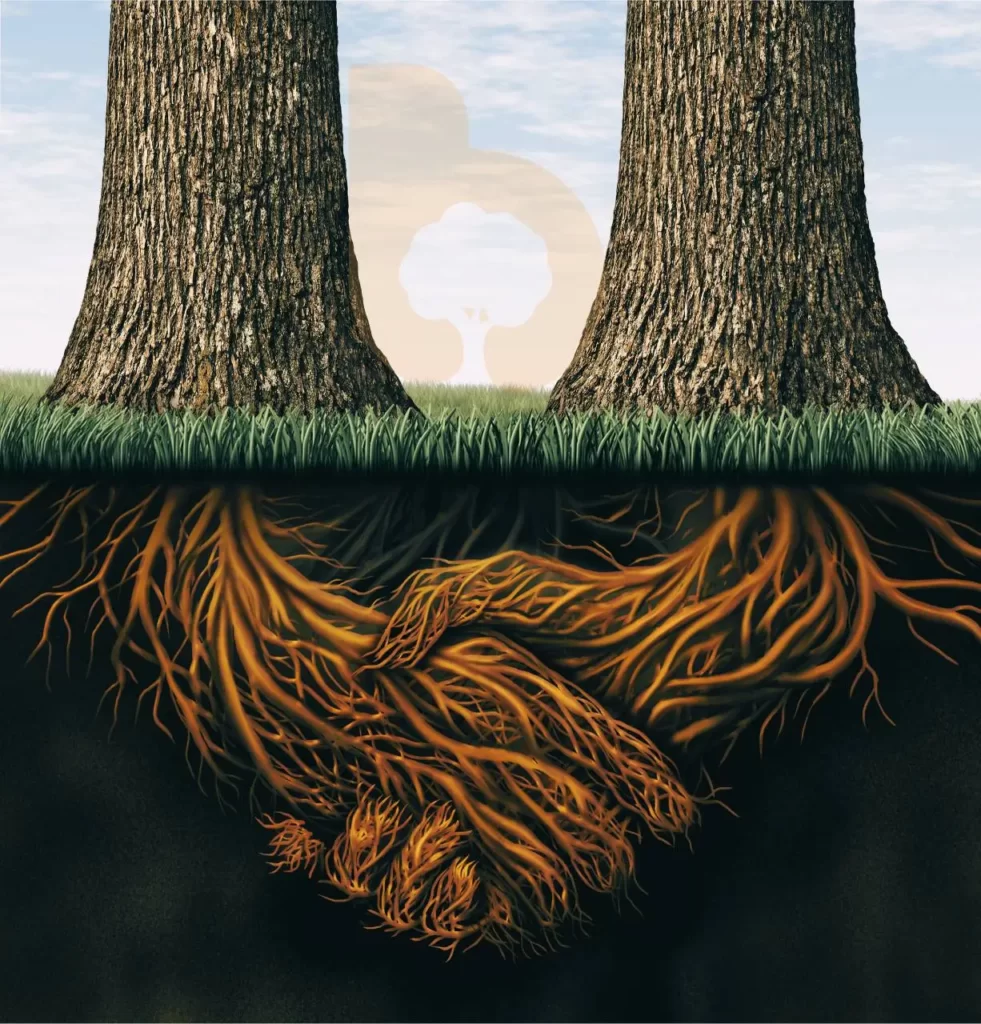 Marketing strategie en marketingfundament